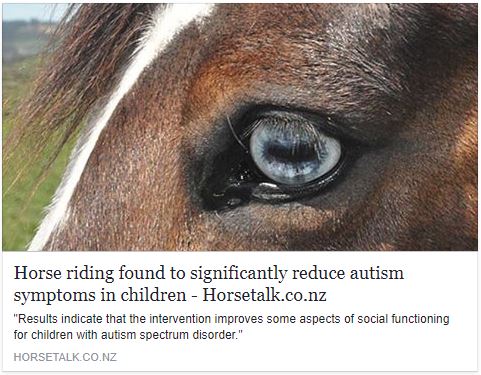 Animal Assisted Interventions For Autism Spectrum Disorders